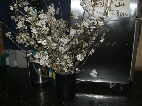 c0098871_13142061.jpg