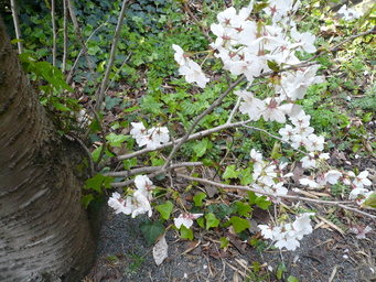f0151872_20463317.jpg