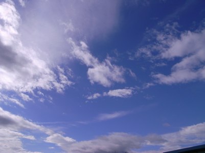 a0000273_1120094.jpg