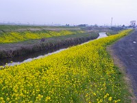 b0004675_22183757.jpg