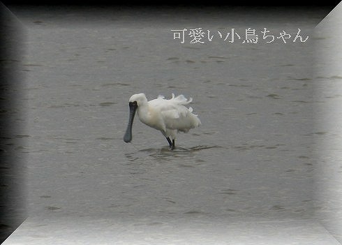 e0018678_2121177.jpg