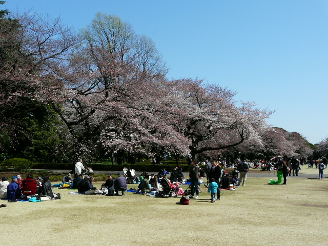 e0145782_13111654.jpg