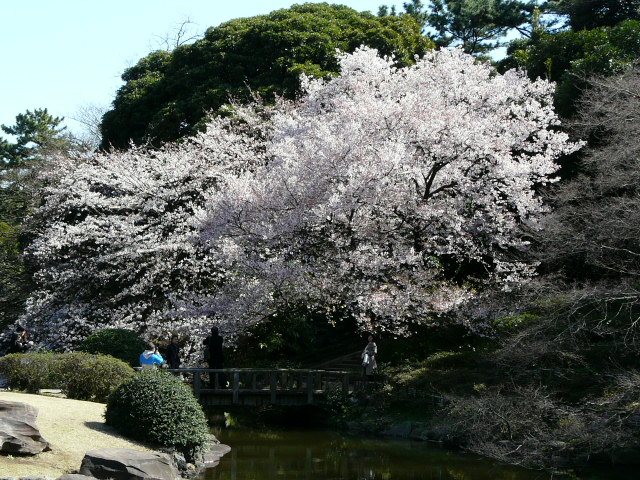 e0145782_13221934.jpg