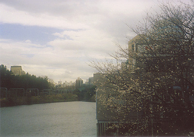 e0174382_1441272.jpg