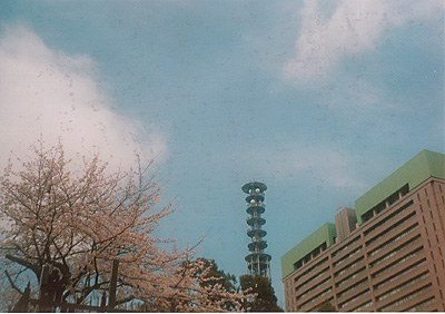 e0174382_1442428.jpg