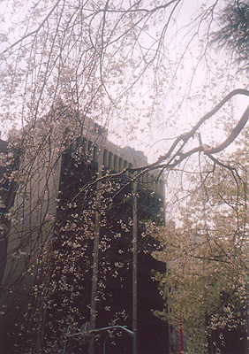 e0174382_14433995.jpg