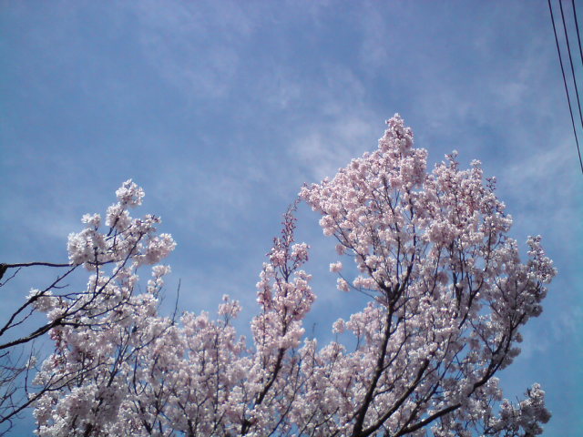 c0122788_1222944.jpg