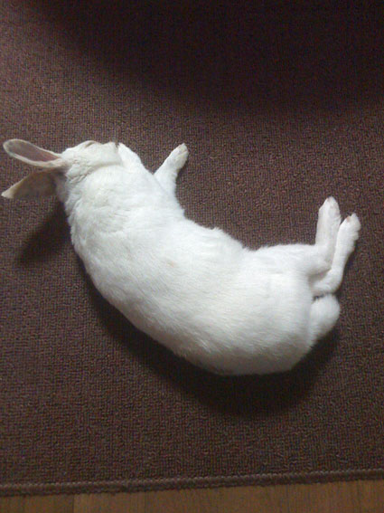 f0201191_0221713.jpg