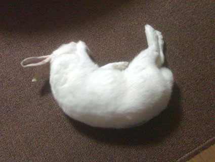 f0201191_0381787.jpg