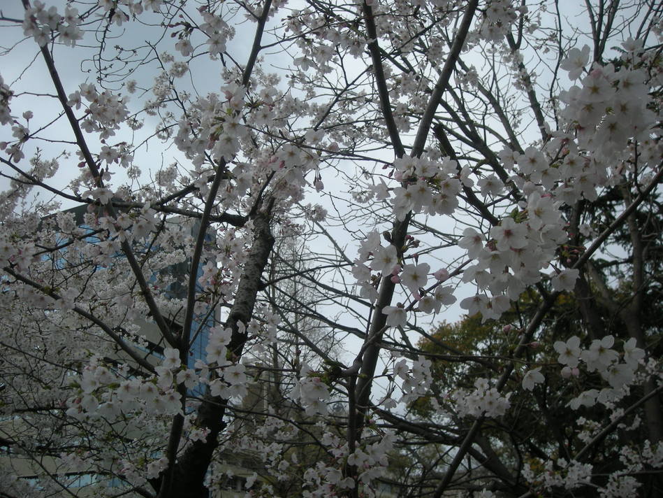 f0233493_1715496.jpg