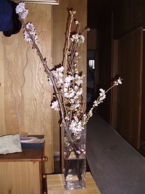 f0130894_2205732.jpg