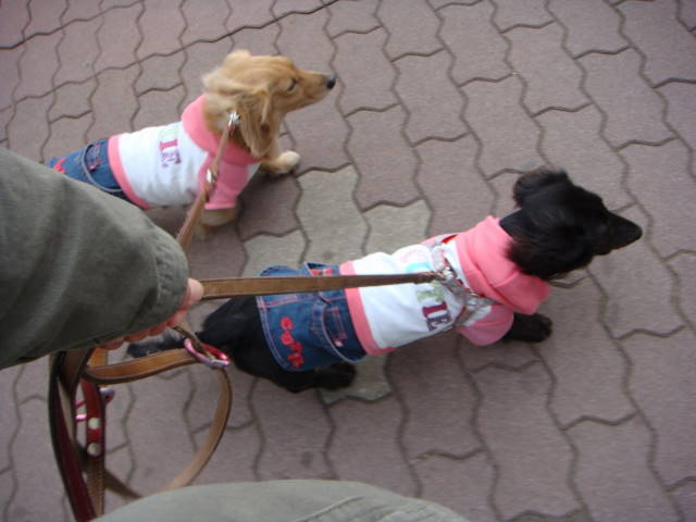 d0098295_0125359.jpg
