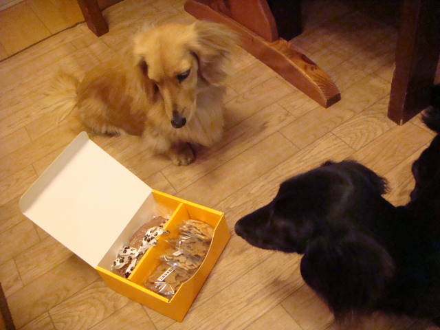 d0098295_071173.jpg
