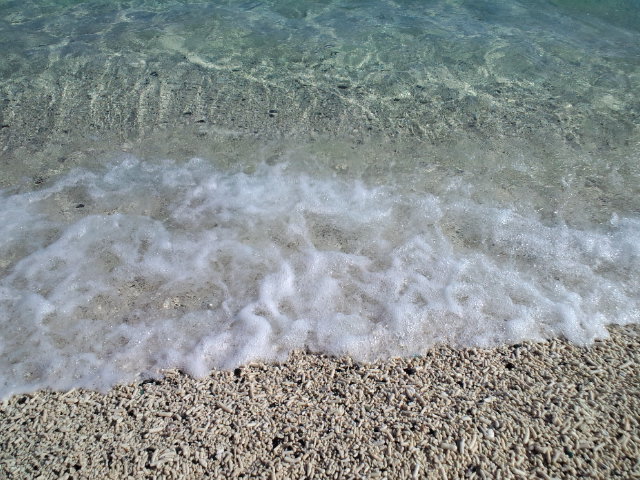 f0042295_16534614.jpg