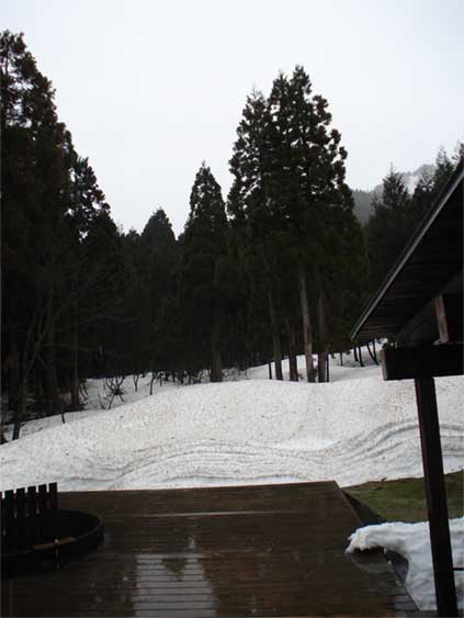 a0061599_7323879.jpg