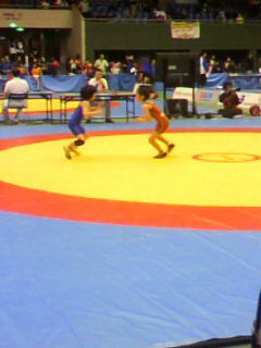 c0090100_234168.jpg
