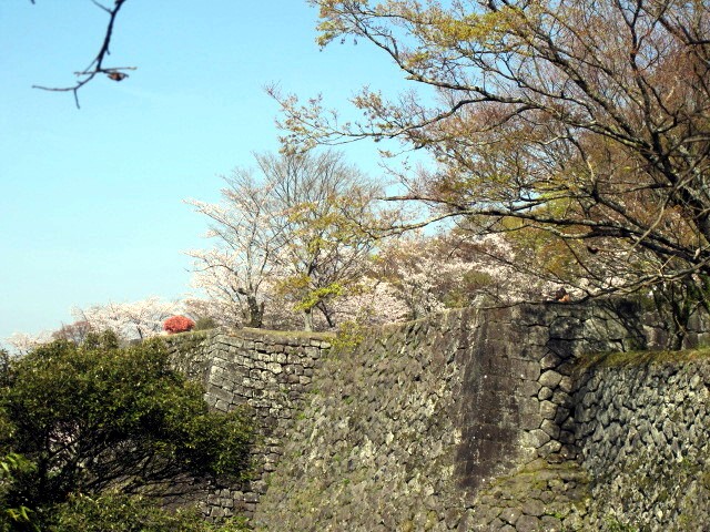 c0036203_21244288.jpg