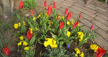 f0065604_2144233.jpg