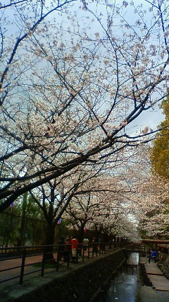 c0017505_14435510.jpg