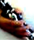 e0103408_123294.gif