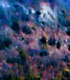 e0103408_12411755.gif