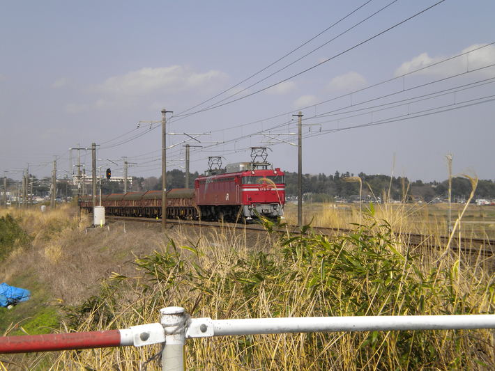 a0159009_21145061.jpg