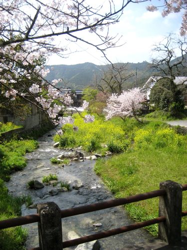 c0114110_2152250.jpg