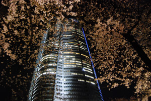 a0031714_11322860.jpg