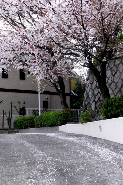 e0083517_10331717.jpg