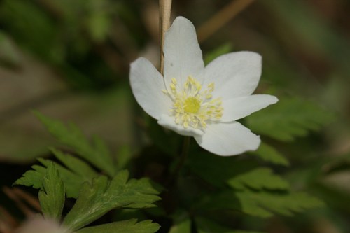c0042418_85348100.jpg