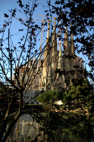 f0221619_10302678.jpg
