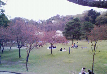 b0188121_2156067.jpg