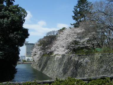 e0024126_2205493.jpg
