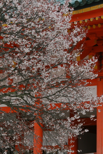 c0215627_20272414.jpg
