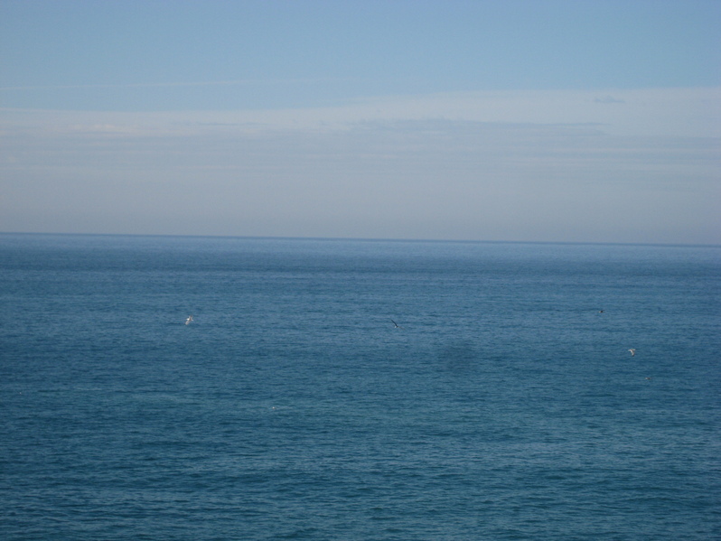 d0147727_20541124.jpg
