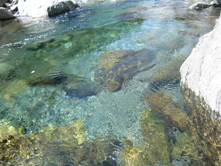 b0145733_206956.jpg