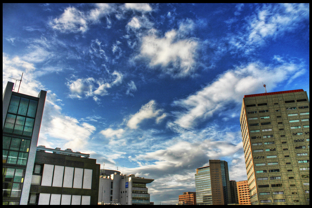 c0214542_2057610.jpg