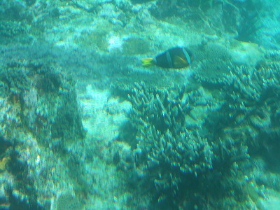 e0173645_8511328.jpg