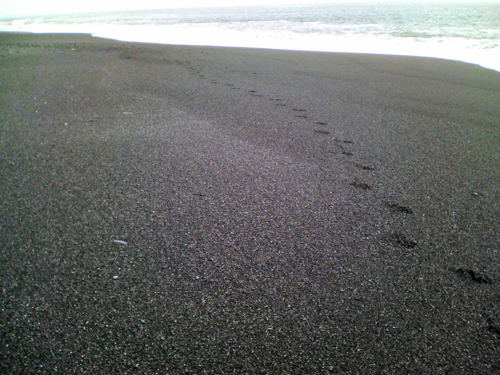 e0192548_18241437.jpg