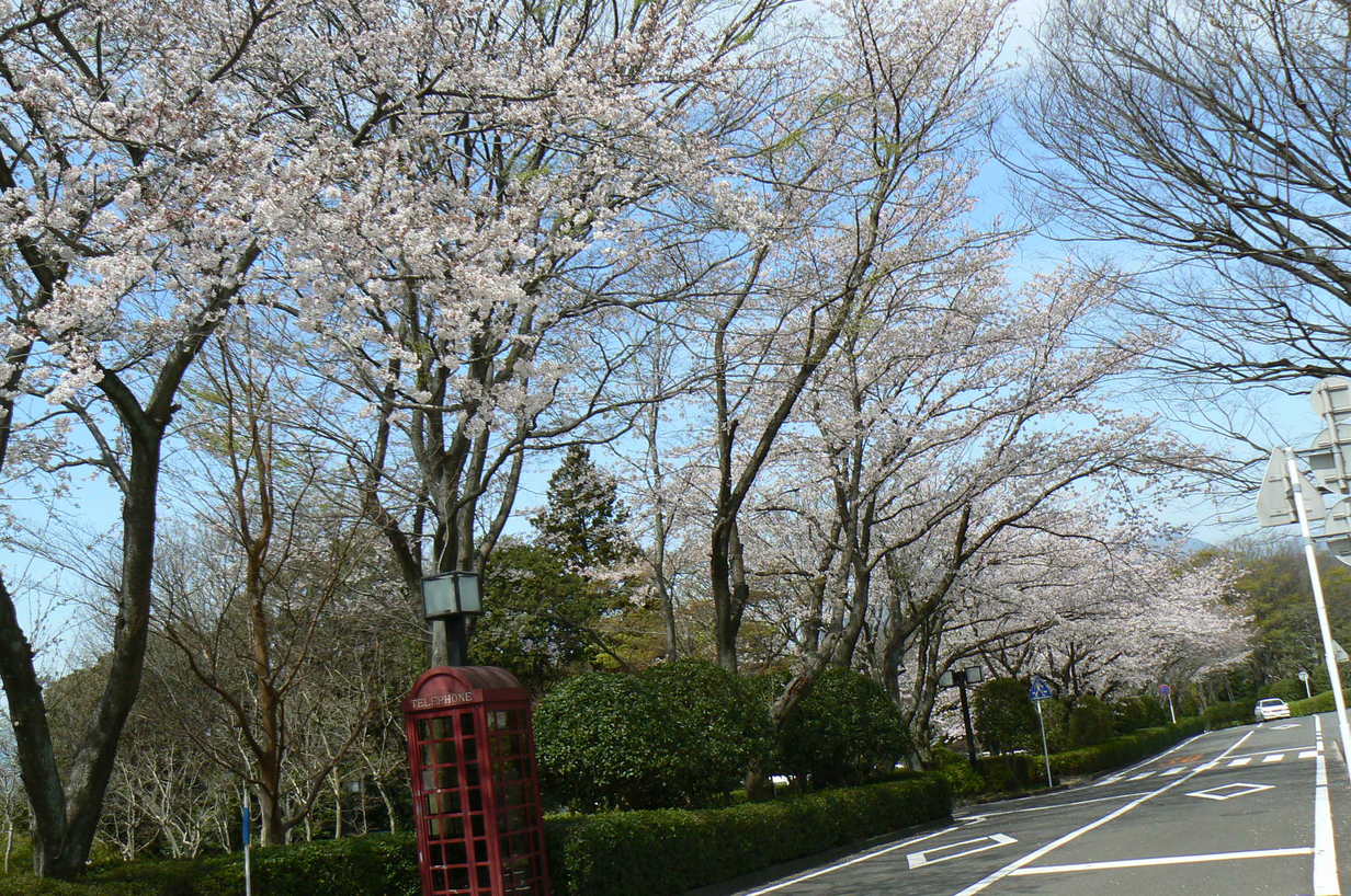 b0177649_2124426.jpg