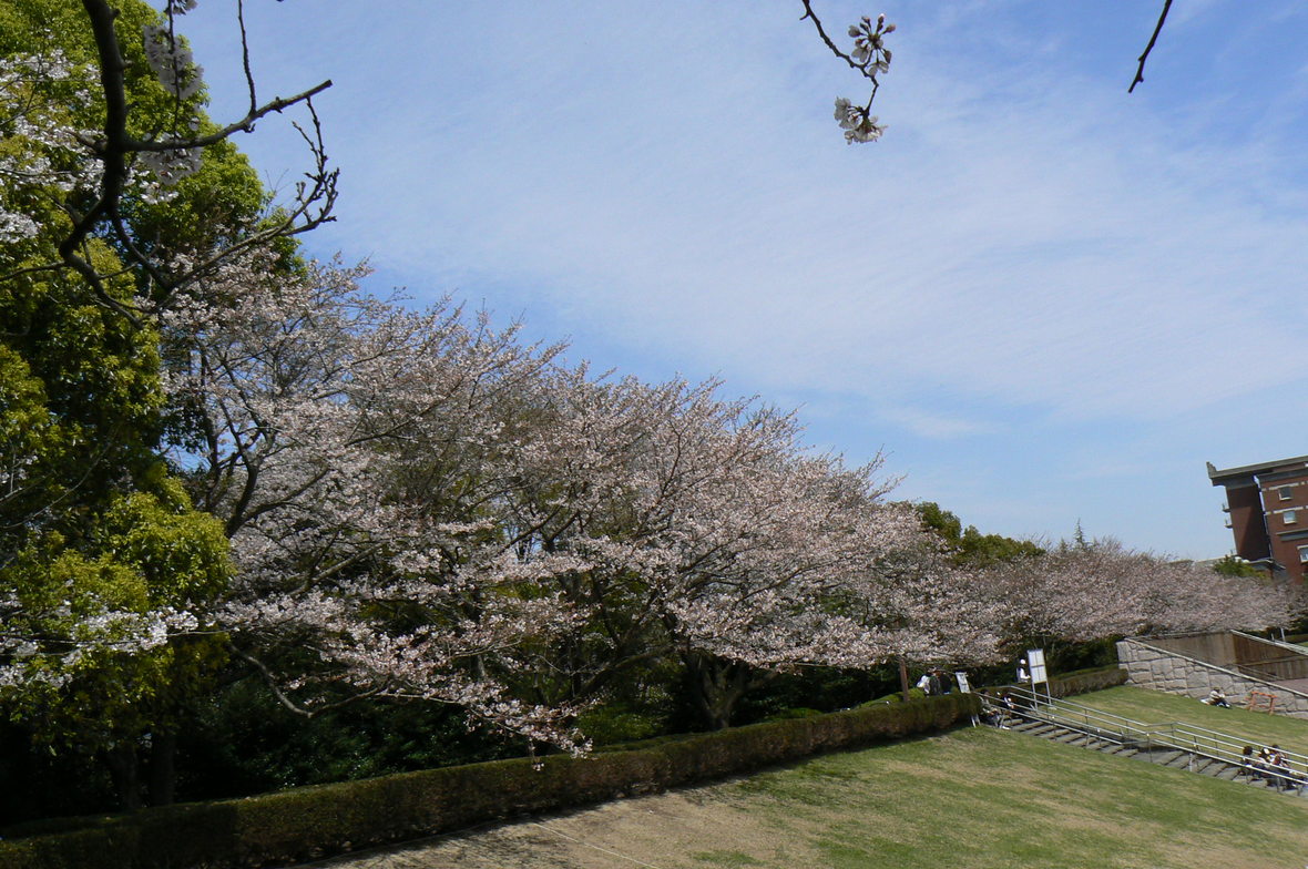 b0177649_2132046.jpg
