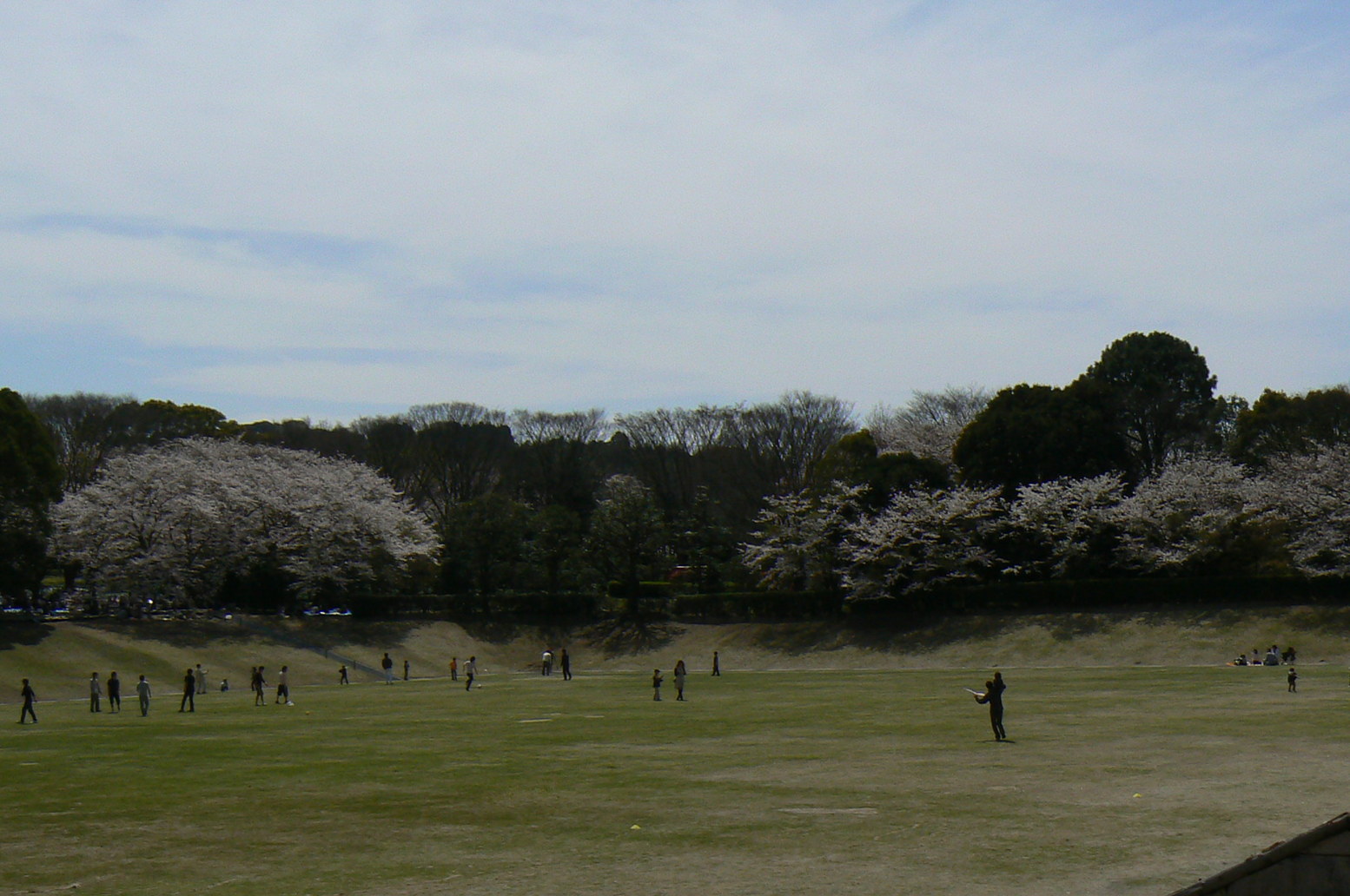 b0177649_215258.jpg