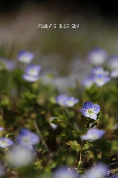 c0145250_210037.jpg