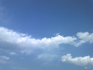 a0162251_1811576.jpg