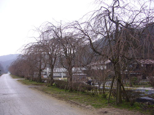 b0174451_8491110.jpg