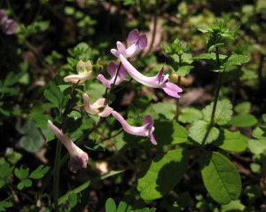 c0179351_20123637.jpg