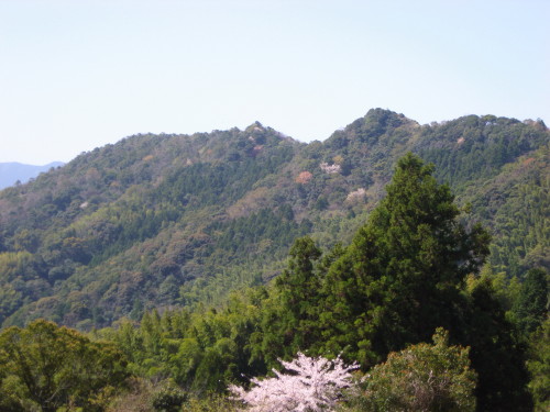 c0179351_20143051.jpg
