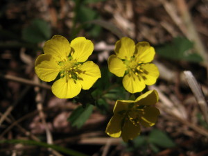 c0179351_20193832.jpg