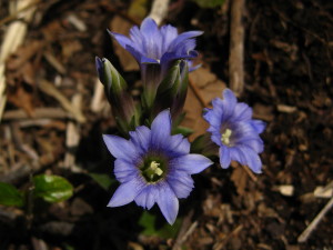 c0179351_20254980.jpg