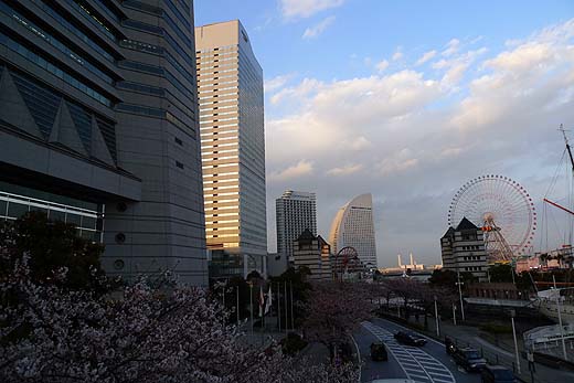 e0050753_22342558.jpg